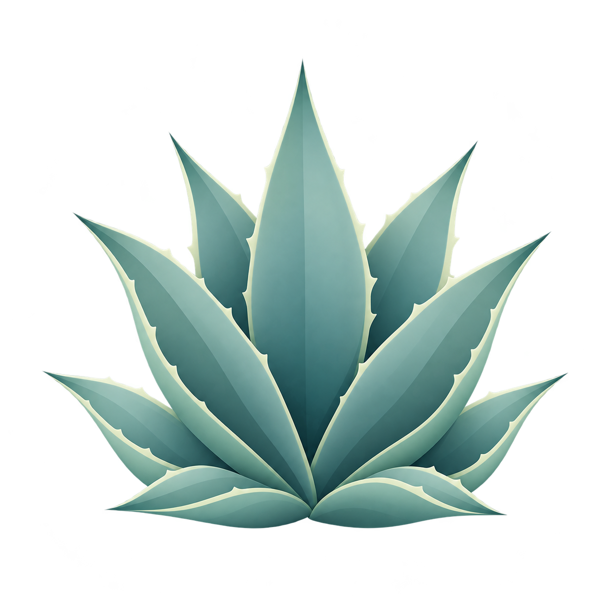 Ilustración botánica de Agave