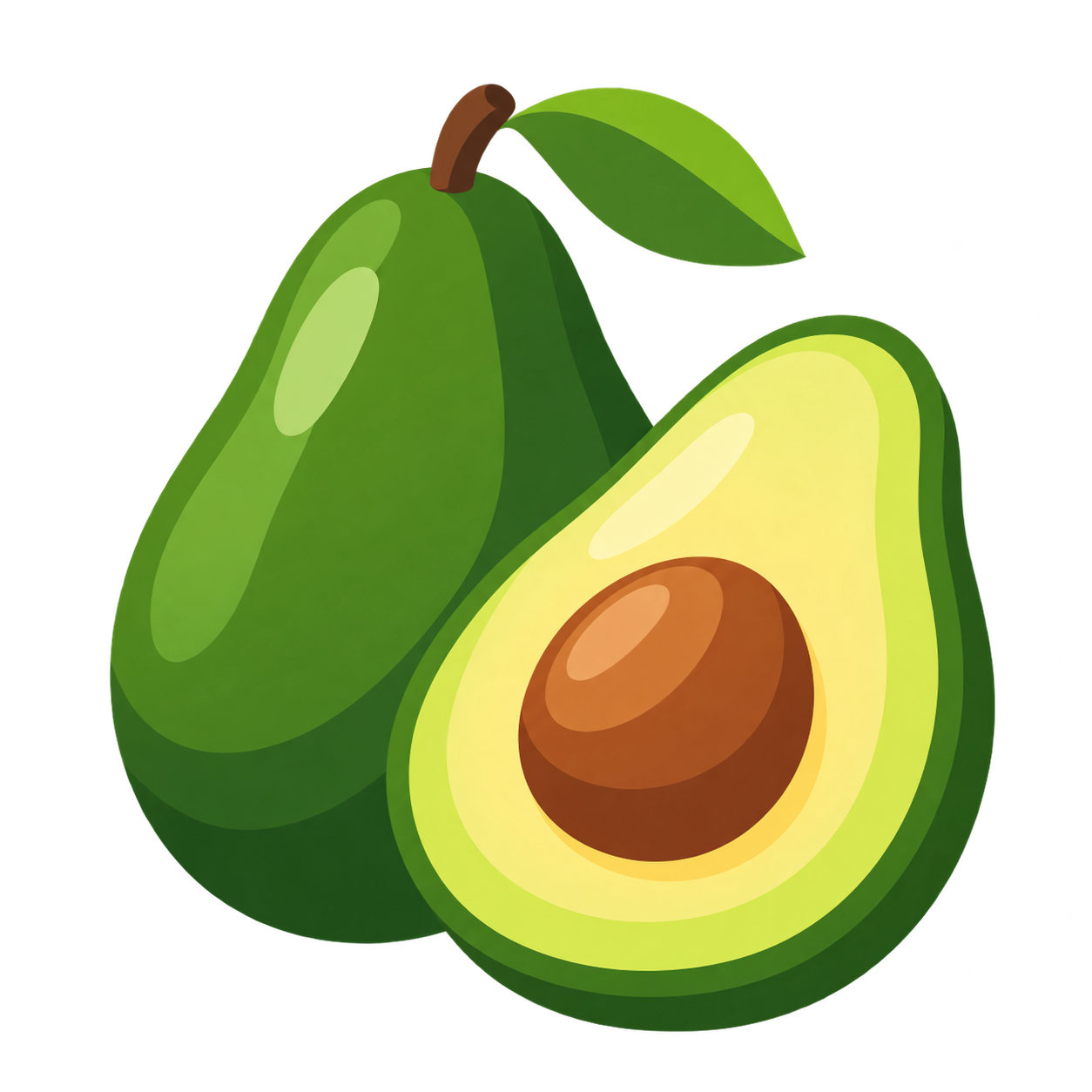 Ilustración botánica de Aguacate