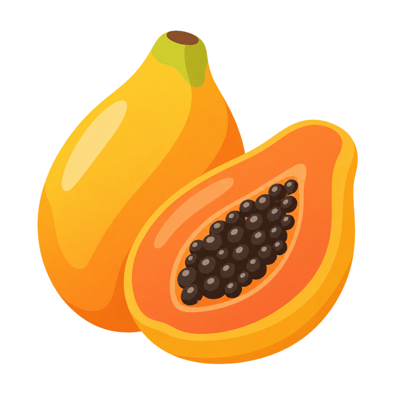 Ilustración botánica de Papaya