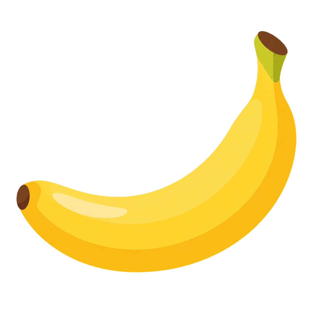 Ilustración botánica de Plátano